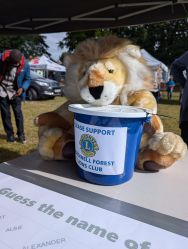 Lion at Crowthorne